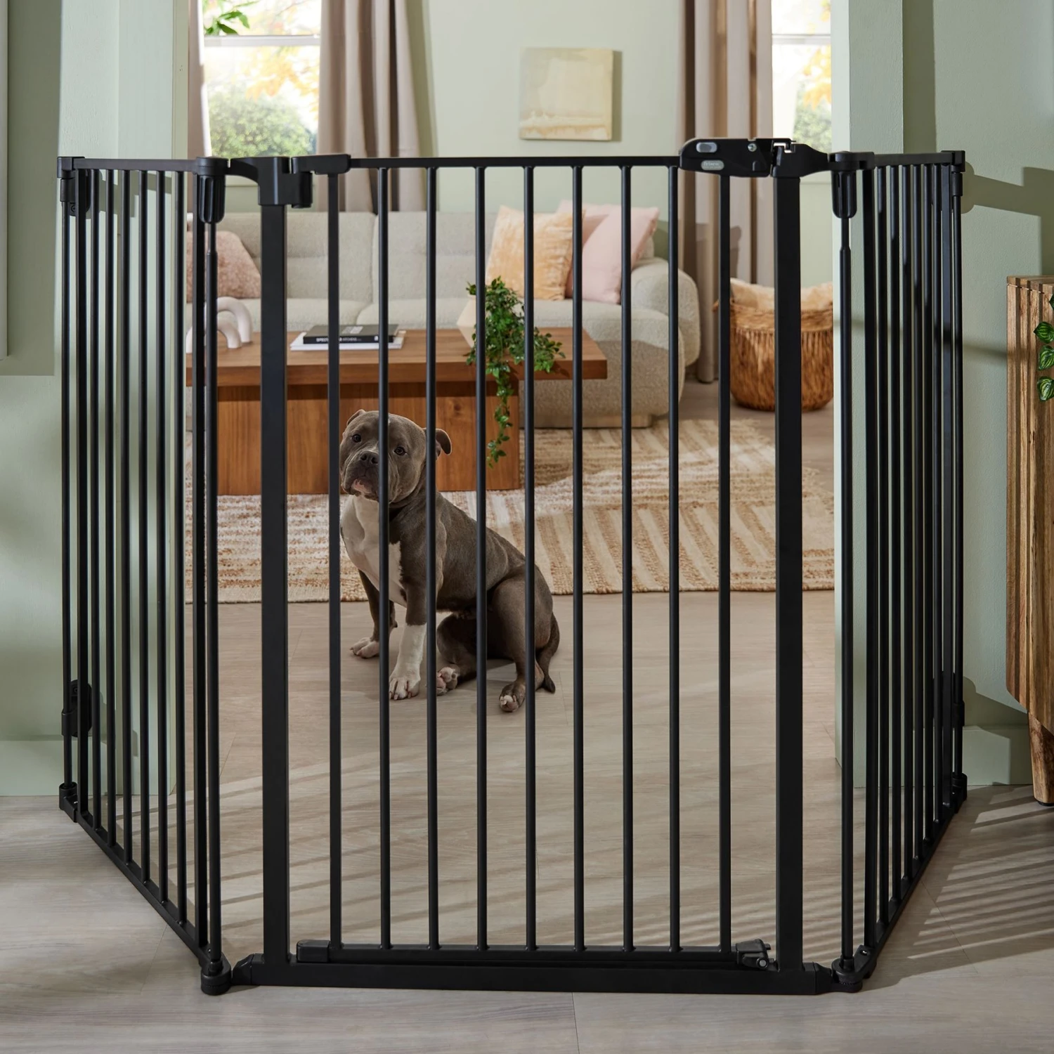 Frisco Steel 3-Panel Configurable Gate, 41-in Height Frisco Steel 3-Panel Configurable Gate, 41-in Height -Frisco Sales Store 361648 PT4. AC SS1800 V1659972923