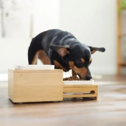 Frisco Elevated Non-Skid Bamboo Melamine Bowl Double Diner With Bamboo Stand -Frisco Sales Store 363385 PT5. AC SS1800 V1657657267