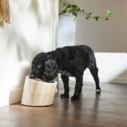 Frisco Elevated Slanted Bamboo Melamine Non-Skid Dog Bowl With Bamboo Stand -Frisco Sales Store 363387 PT2. AC SS1800 V1657657267