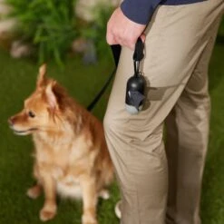 Frisco Dog Poop Bag Dispenser, 15 Count -Frisco Sales Store 363846 PT5. AC SS1800 V1669100746