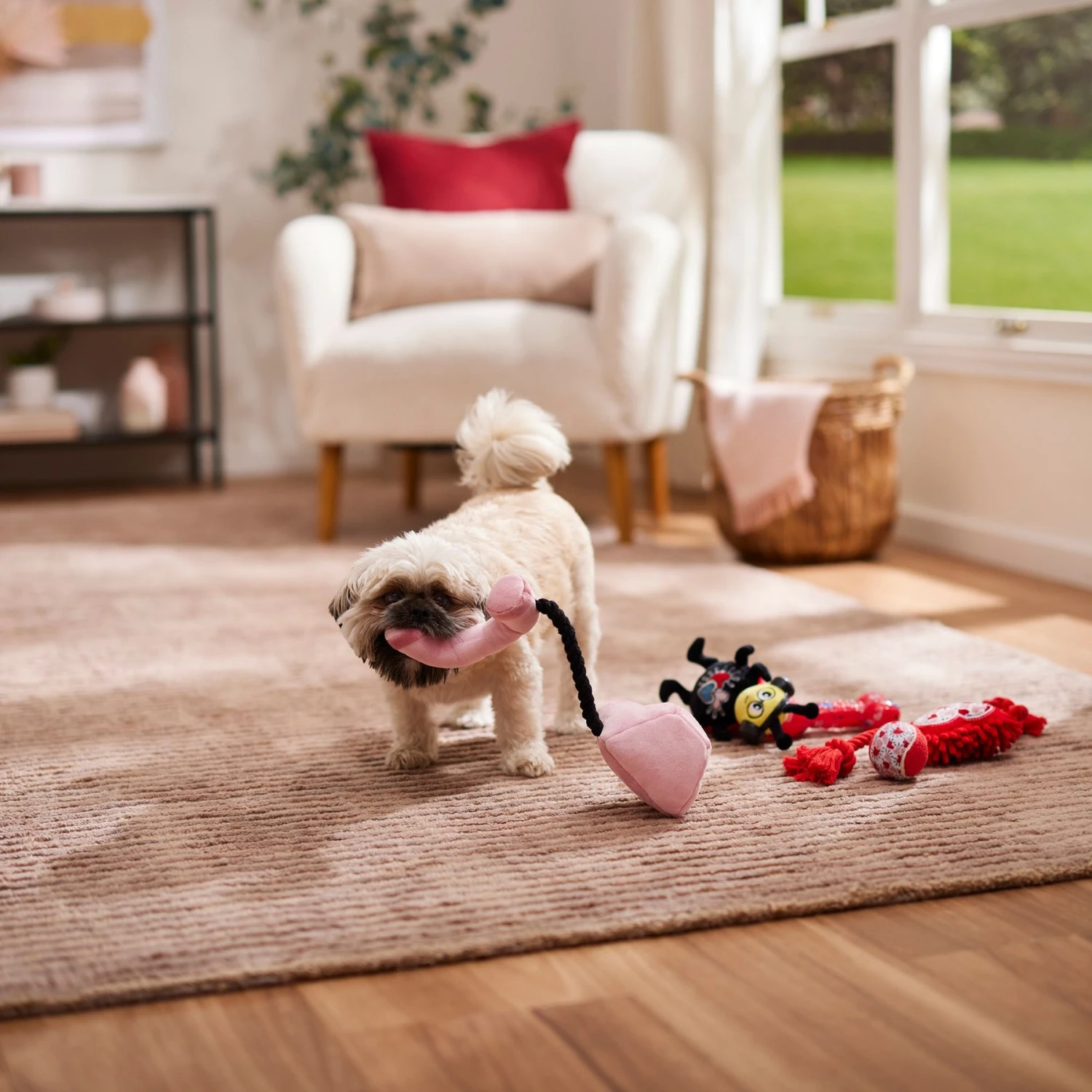 Frisco Valentine Rope, TPR & Plush Variety Pack Dog Toy Frisco Valentine Rope, TPR & Plush Variety Pack Dog Toy -Frisco Sales Store 371077 PT3. AC SS1800 V1668737456