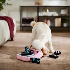 Frisco Valentine Love Song Record Player Hide & Seek Puzzle Plush Squeaky Dog Toy 3 Frisco Valentine Love Song Record Player Hide & Seek Puzzle Plush Squeaky Dog Toy -Frisco Sales Store 371087 PT3. AC SS1800 V1668737233