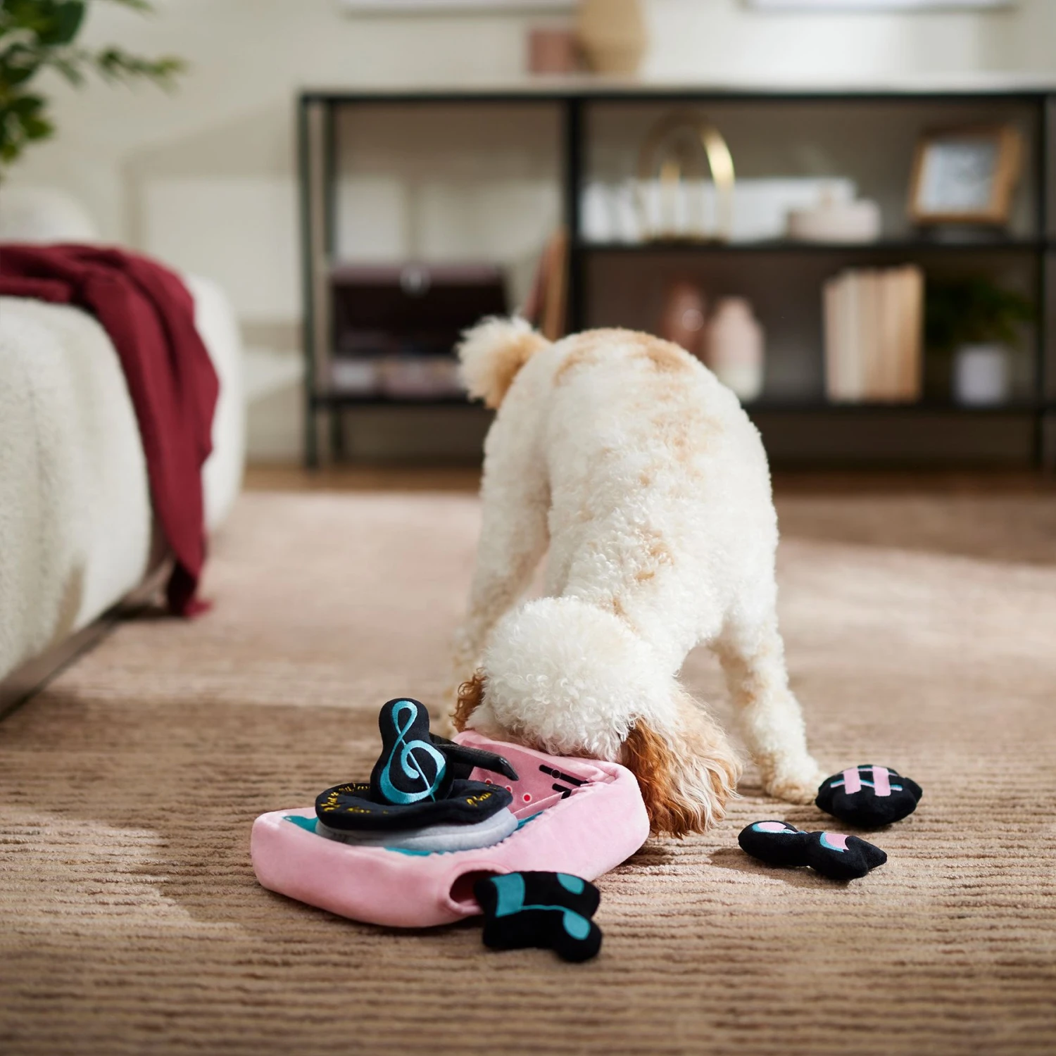 Frisco Valentine Love Song Record Player Hide & Seek Puzzle Plush Squeaky Dog Toy Frisco Valentine Love Song Record Player Hide & Seek Puzzle Plush Squeaky Dog Toy -Frisco Sales Store 371087 PT3. AC SS1800 V1668737233