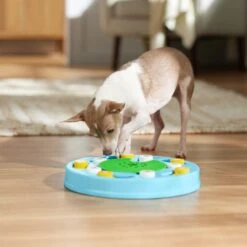 Frisco Seek & Discover Interactive Puzzle Dog Toy, Moderate -Frisco Sales Store 506250 PT5. AC SS1800 V1674664929