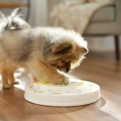 Frisco Tiered Cake Interactive Puzzle Dog Toy, Easy -Frisco Sales Store 506346 PT5. AC SS1800 V1674666566