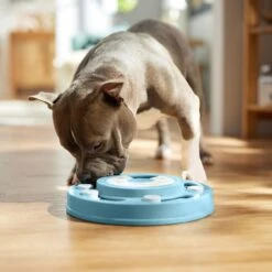 Frisco Two Tier Interactive Puzzle Dog Toy, Easy -Frisco Sales Store 506370 PT5. AC SS1800 V1674671566