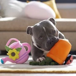 Frisco Spring Potted Plant And Watering Can Plush Squeaky Dog Toy -Frisco Sales Store 541494 PT4. AC SS1800 V1702500565