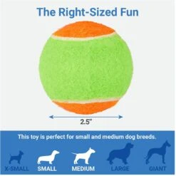 Frisco Dumbbell TPR Fetch Dog Toy + 3 Items 6 Frisco Dumbbell TPR Fetch Dog Toy + 3 Items -Frisco Sales Store 582446 PT6. AC SS1800 V1658238980