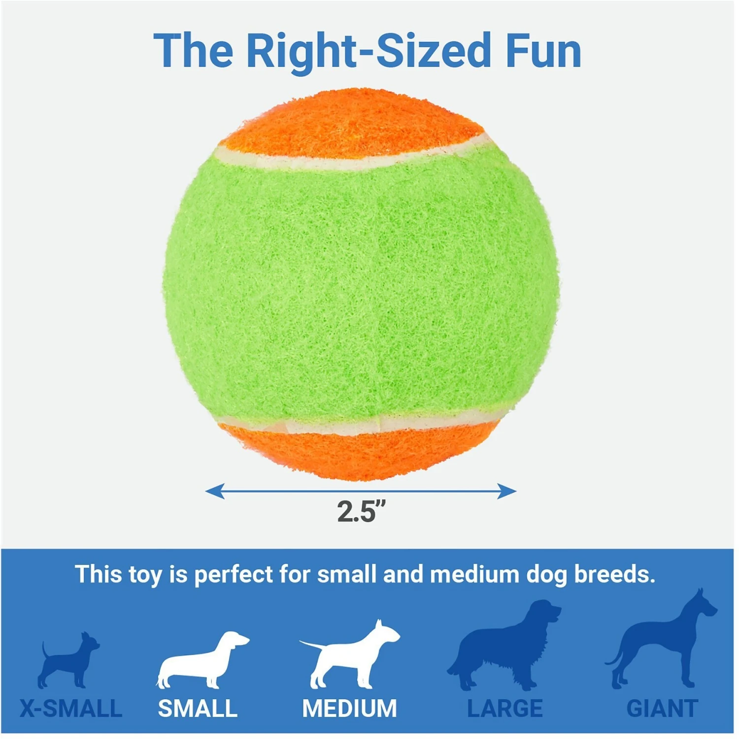 Frisco Dumbbell TPR Fetch Dog Toy + 3 items Frisco Dumbbell TPR Fetch Dog Toy + 3 Items -Frisco Sales Store 582446 PT6. AC SS1800 V1658238980