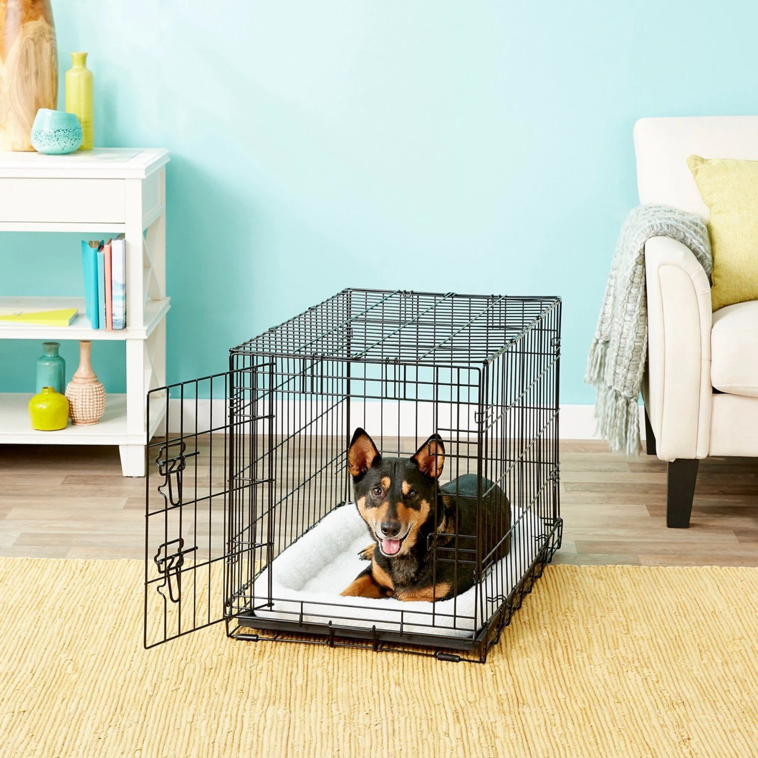 Frisco Fold & Carry Single Door Collapsible Wire Dog Crate + 4 items Frisco Fold & Carry Single Door Collapsible Wire Dog Crate + 4 Items -Frisco Sales Store 623718 PT1. AC SS1800 V1662738090