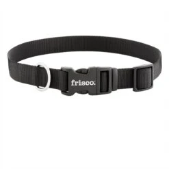 Frisco Solid Nylon Dog Leash + 4 Items -Frisco Sales Store 623766 PT5. AC SS1800 V1662735841
