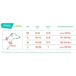 Frisco Solid Nylon Dog Leash + 4 Items -Frisco Sales Store 623766 PT6. AC SS1800 V1662739135