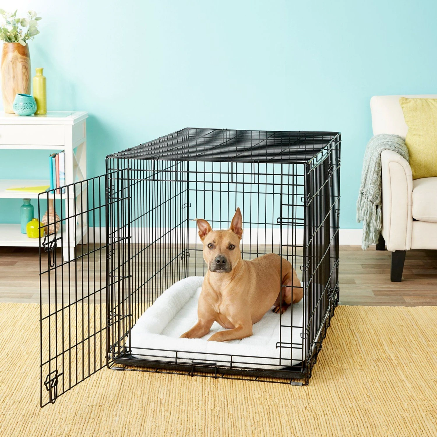Frisco Swirl Dog Crate Mat + 3 items Frisco Swirl Dog Crate Mat + 3 Items -Frisco Sales Store 630942 PT1. AC SS1800 V1662742981
