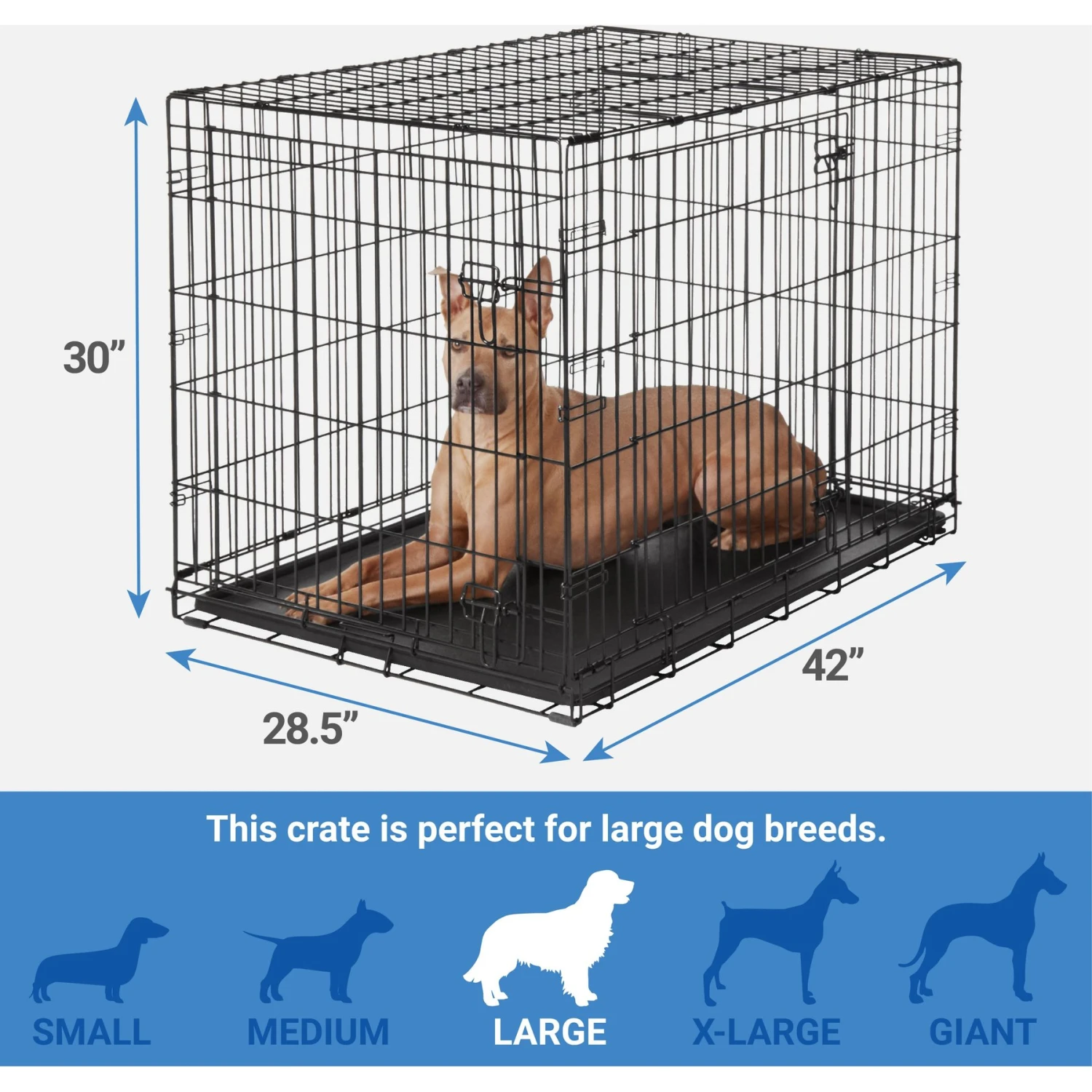 Frisco Swirl Dog Crate Mat + 3 items Frisco Swirl Dog Crate Mat + 3 Items -Frisco Sales Store 630942 PT2. AC SS1800 V1662740991