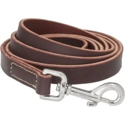 Frisco Top Grain Leather Leash + 4 Items 3 Frisco Top Grain Leather Leash + 4 Items -Frisco Sales Store 630958 PT3. AC SS1800 V1662739527