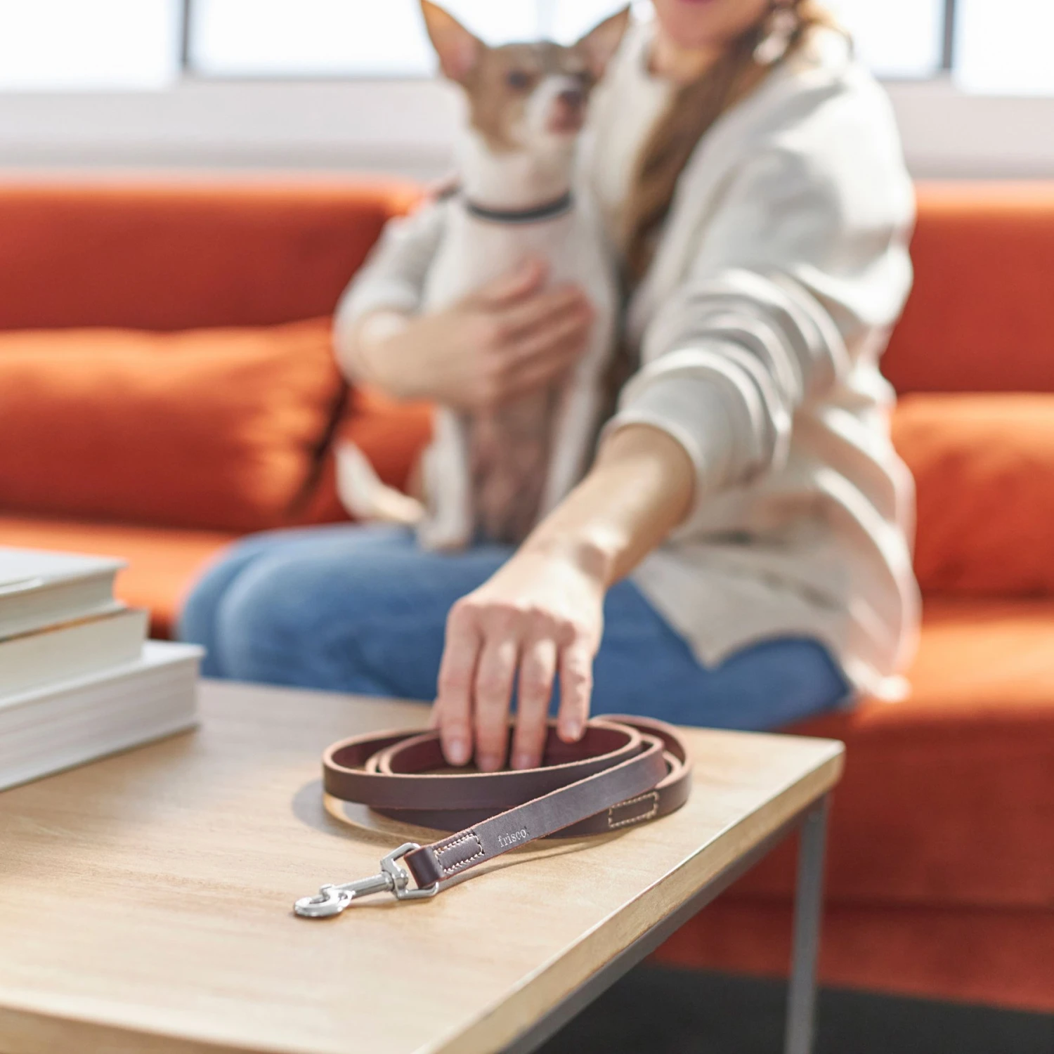 Frisco Top Grain Leather Leash + 4 items Frisco Top Grain Leather Leash + 4 Items -Frisco Sales Store 630958 PT4. AC SS1800 V1662742186