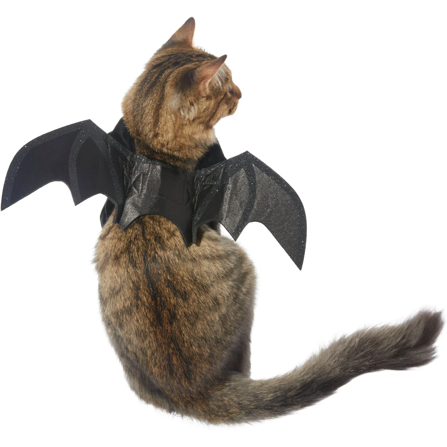 Frisco Bat Wings Dog & Cat Costume & Buckle-Down Batman Shield Polyester Dog Collar Frisco Bat Wings Dog & Cat Costume & Buckle-Down Batman Shield Polyester Dog Collar -Frisco Sales Store 638566 PT2. AC SS1800 V1663254513