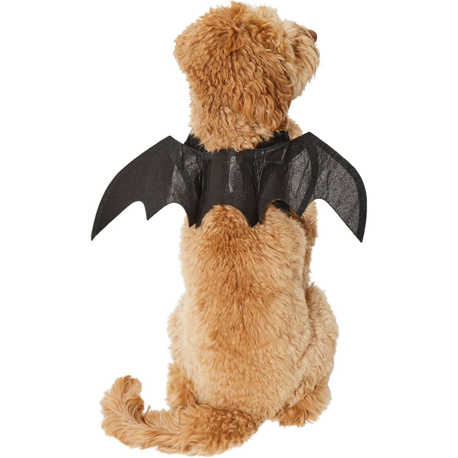Frisco Bat Wings Dog & Cat Costume & Buckle-Down Batman Shield Polyester Dog Collar Frisco Bat Wings Dog & Cat Costume & Buckle-Down Batman Shield Polyester Dog Collar -Frisco Sales Store 638566 PT3. AC SS1800 V1663254451