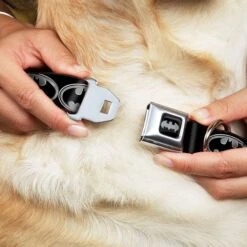 Frisco Bat Wings Dog & Cat Costume & Buckle-Down Batman Shield Polyester Dog Collar 6 Frisco Bat Wings Dog & Cat Costume & Buckle-Down Batman Shield Polyester Dog Collar -Frisco Sales Store 638566 PT6. AC SS1800 V1663254111