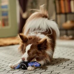 Frisco Halloween Bat Fetch Squeaky Tennis Ball Dog Toy 3 Frisco Halloween Bat Fetch Squeaky Tennis Ball Dog Toy -Frisco Sales Store 668278 PT3. AC SS1800 V1689350166