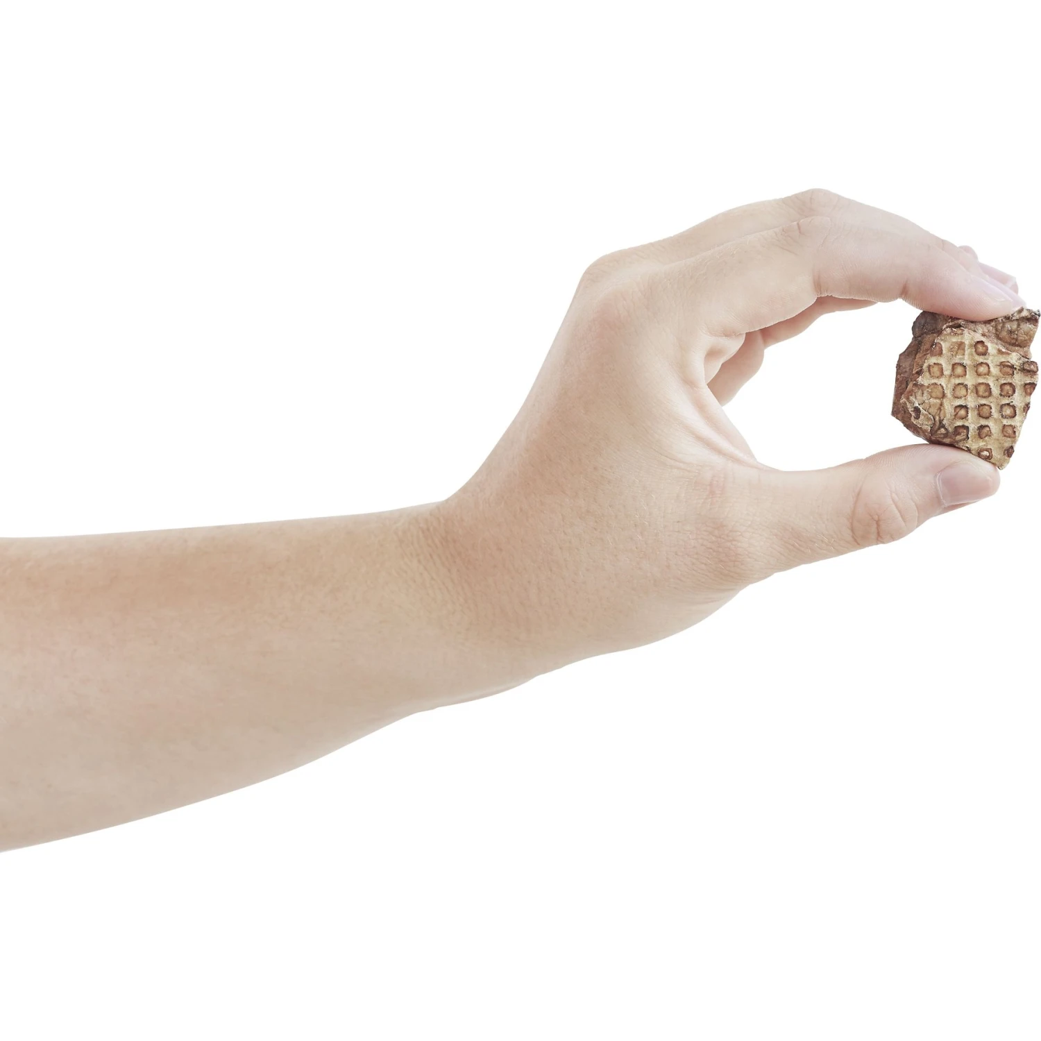 Frisco Giant Non-Skid Ultra Premium Dog Training & Potty Pads & Bones & Chews All-Natural Lamb Lung Dehydrated Dog Treats Frisco Giant Non-Skid Ultra Premium Dog Training & Potty Pads & Bones & Chews All-Natural Lamb Lung Dehydrated Dog Treats -Frisco Sales Store 678542 PT8. AC SS1800 V1681825305