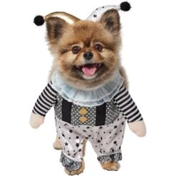 Frisco Front Walking Glitter Clown Dog & Cat Costume 2 Frisco Front Walking Glitter Clown Dog & Cat Costume -Frisco Sales Store 707542 PT2. AC SS1800 V1689351699