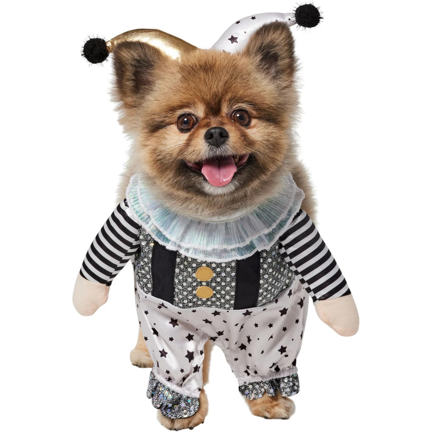 Frisco Front Walking Glitter Clown Dog & Cat Costume Frisco Front Walking Glitter Clown Dog & Cat Costume -Frisco Sales Store 707542 PT2. AC SS1800 V1689351699