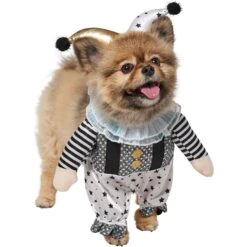 Frisco Front Walking Glitter Clown Dog & Cat Costume 3 Frisco Front Walking Glitter Clown Dog & Cat Costume -Frisco Sales Store 707542 PT3. AC SS1800 V1689278296