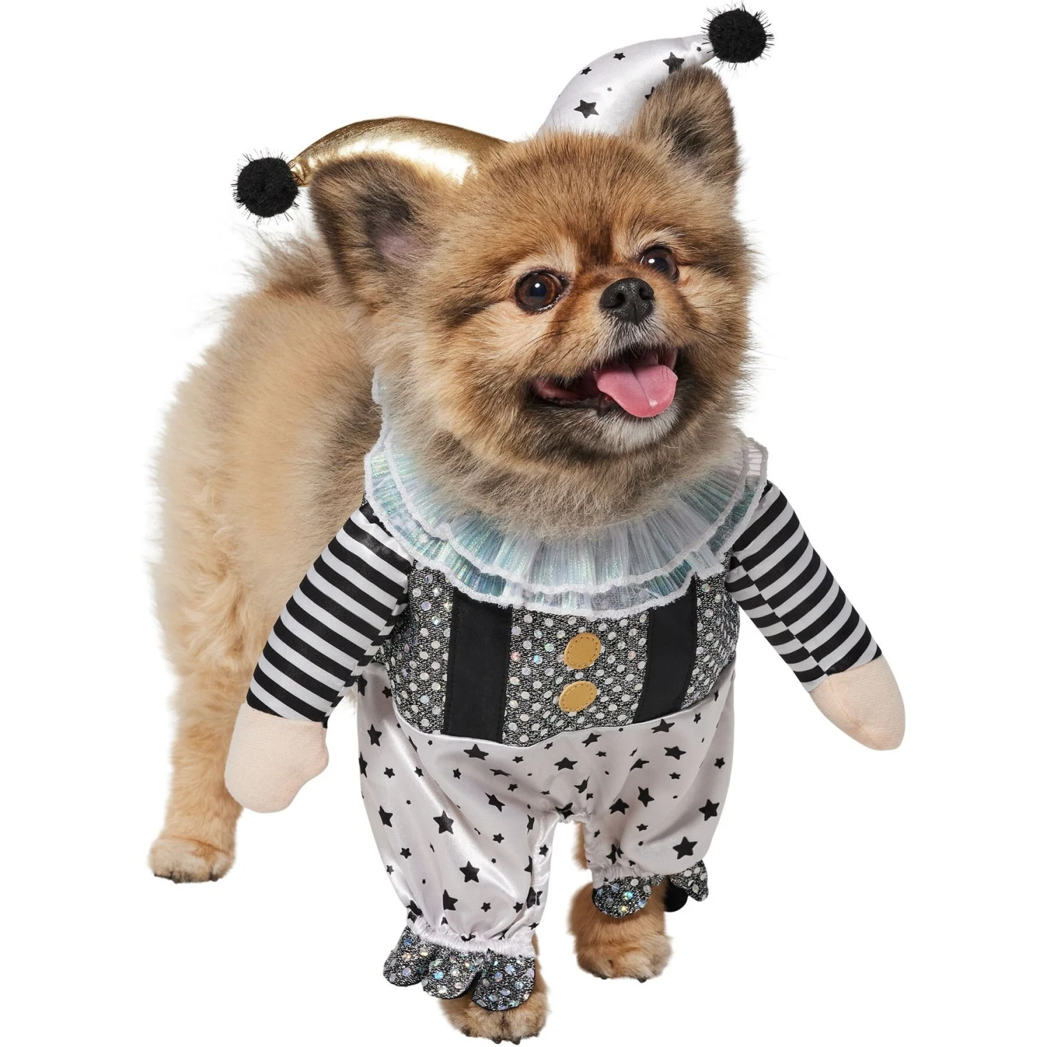 Frisco Front Walking Glitter Clown Dog & Cat Costume Frisco Front Walking Glitter Clown Dog & Cat Costume -Frisco Sales Store 707542 PT3. AC SS1800 V1689278296