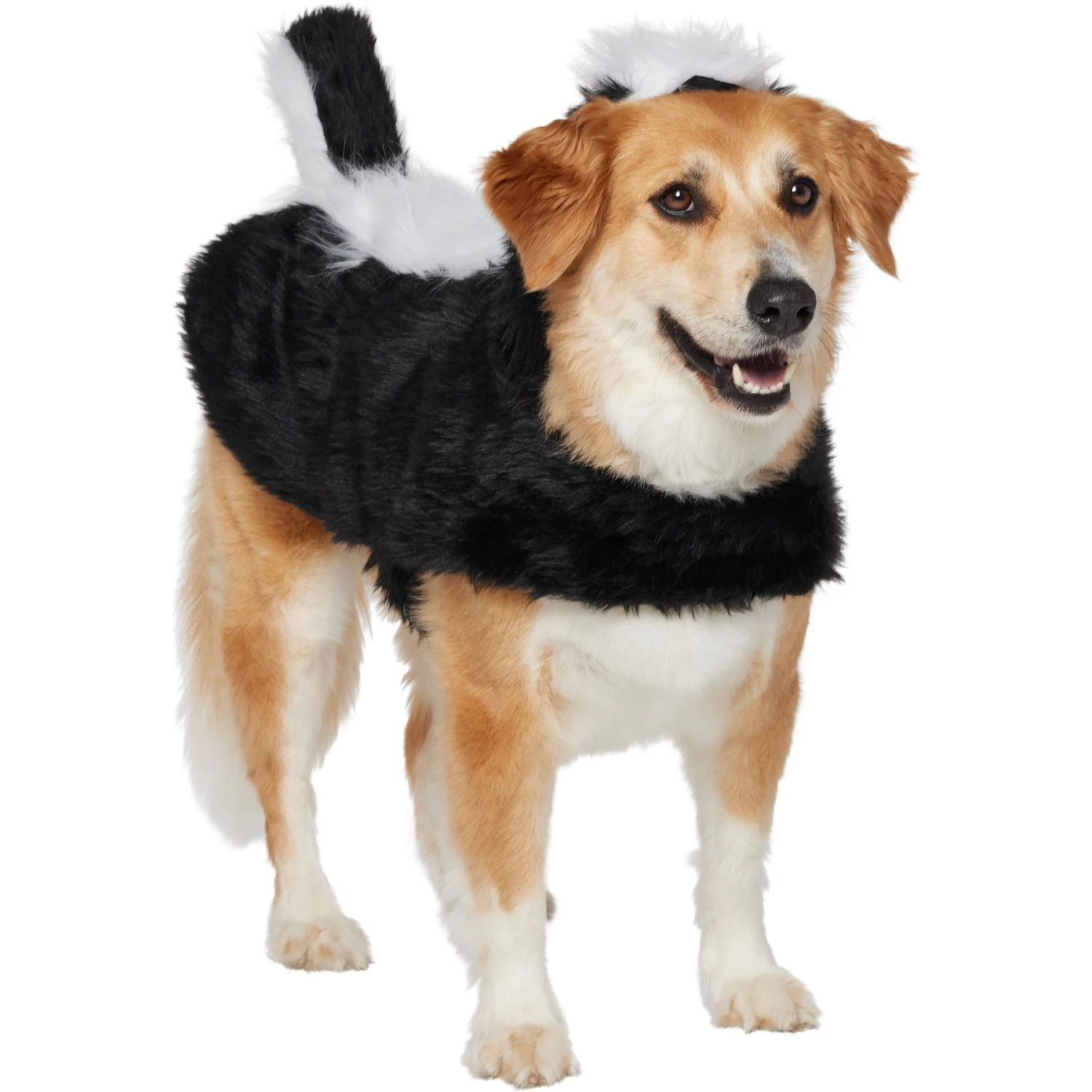 Frisco Faux Fur Skunk Dog & Cat Costume Frisco Faux Fur Skunk Dog & Cat Costume -Frisco Sales Store 708078 MAIN. AC SS1800 V1689350100