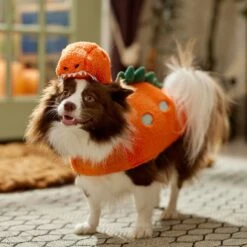 Frisco Furry Dinosaur Dog & Cat Costume -Frisco Sales Store 708190 PT7. AC SS1800 V1689278373