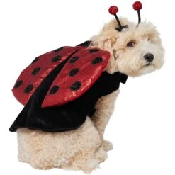 Frisco Glittered Ladybug Dog & Cat Costume -Frisco Sales Store 708254 PT3. AC SS1800 V1689350986