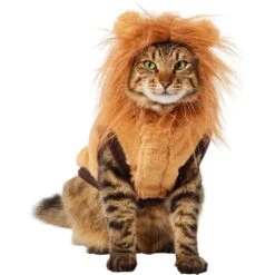 Frisco Lion Love Dog & Cat Costume -Frisco Sales Store 708318 PT2. AC SS1800 V1689341486
