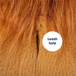 Frisco Lion Love Dog & Cat Costume -Frisco Sales Store 708318 PT6. AC SS1800 V1689351045