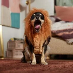 Frisco Lion Love Dog & Cat Costume -Frisco Sales Store 708318 PT7. AC SS1800 V1689350649