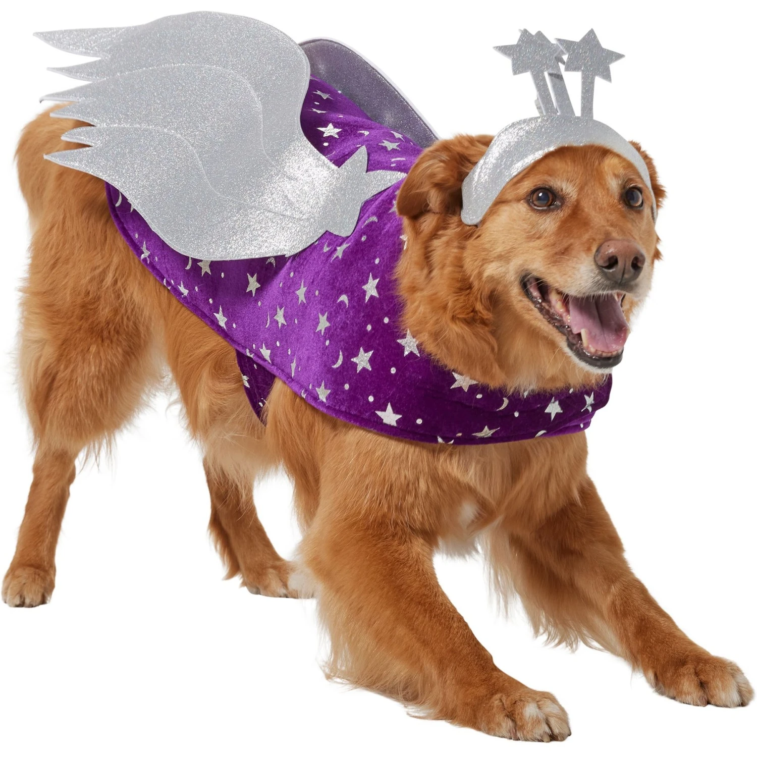Frisco Shooting Stars Dog & Cat Costume Frisco Shooting Stars Dog & Cat Costume -Frisco Sales Store 708614 MAIN. AC SS1800 V1689340940