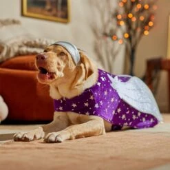 Frisco Shooting Stars Dog & Cat Costume 6 Frisco Shooting Stars Dog & Cat Costume -Frisco Sales Store 708614 PT7. AC SS1800 V1689278699