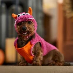 Frisco Zany Monster Dog & Cat Costume -Frisco Sales Store 708710 PT7. AC SS1800 V1689282434