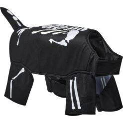 Frisco Glow In The Dark Skeleton Dog & Cat Costume -Frisco Sales Store 709038 PT3. AC SS1800 V1689351051