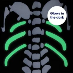 Frisco Glow In The Dark Skeleton Dog & Cat Costume -Frisco Sales Store 709038 PT5. AC SS1800 V1689340910