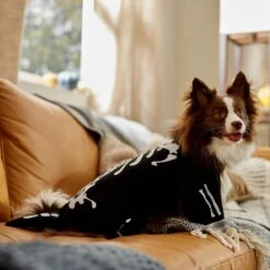 Frisco Glow In The Dark Skeleton Dog & Cat Costume -Frisco Sales Store 709038 PT7. AC SS1800 V1689350988