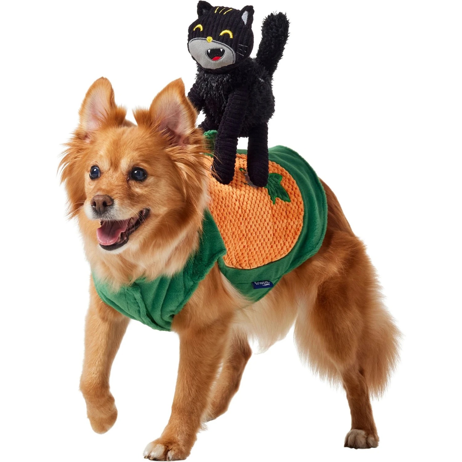 Frisco Pumpkin Cat Ride-On Dog & Cat Costume Frisco Pumpkin Cat Ride-On Dog & Cat Costume -Frisco Sales Store 709294 MAIN. AC SS1800 V1689270833