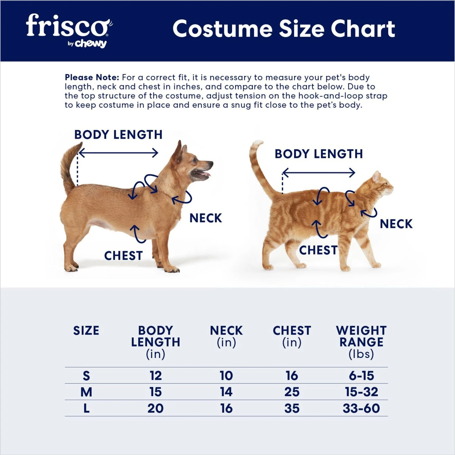 Frisco Pumpkin Cat Ride-On Dog & Cat Costume Frisco Pumpkin Cat Ride-On Dog & Cat Costume -Frisco Sales Store 709294 PT1. AC SS1800 V1690562418