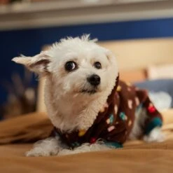 Frisco Cozy Plush Fleece Dog & Cat PJs, Mushrooms -Frisco Sales Store 718950 PT7. AC SS1800 V1692378098