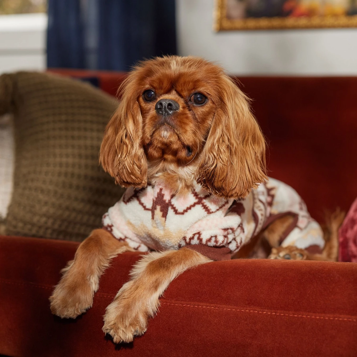 Frisco Fairisle Cozy Plush Fleece Dog & Cat PJs, Cream Frisco Fairisle Cozy Plush Fleece Dog & Cat PJs, Cream -Frisco Sales Store 719006 PT7. AC SS1800 V1692376367