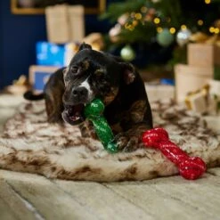 Frisco Holiday Naughty & Nice TPR Bone Squeaky Dog Toy 2 Frisco Holiday Naughty & Nice TPR Bone Squeaky Dog Toy -Frisco Sales Store 739702 PT3. AC SS1800 V1694812786