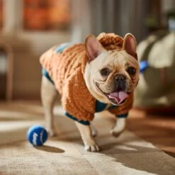 Frisco Wubby Textured Fleece Dog & Cat Hoodie W/ Pocket -Frisco Sales Store 742510 PT7. AC SS1800 V1692377765