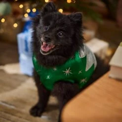 Frisco Ornament Dog & Cat Costume -Frisco Sales Store 745510 PT7. AC SS1800 V1694795535