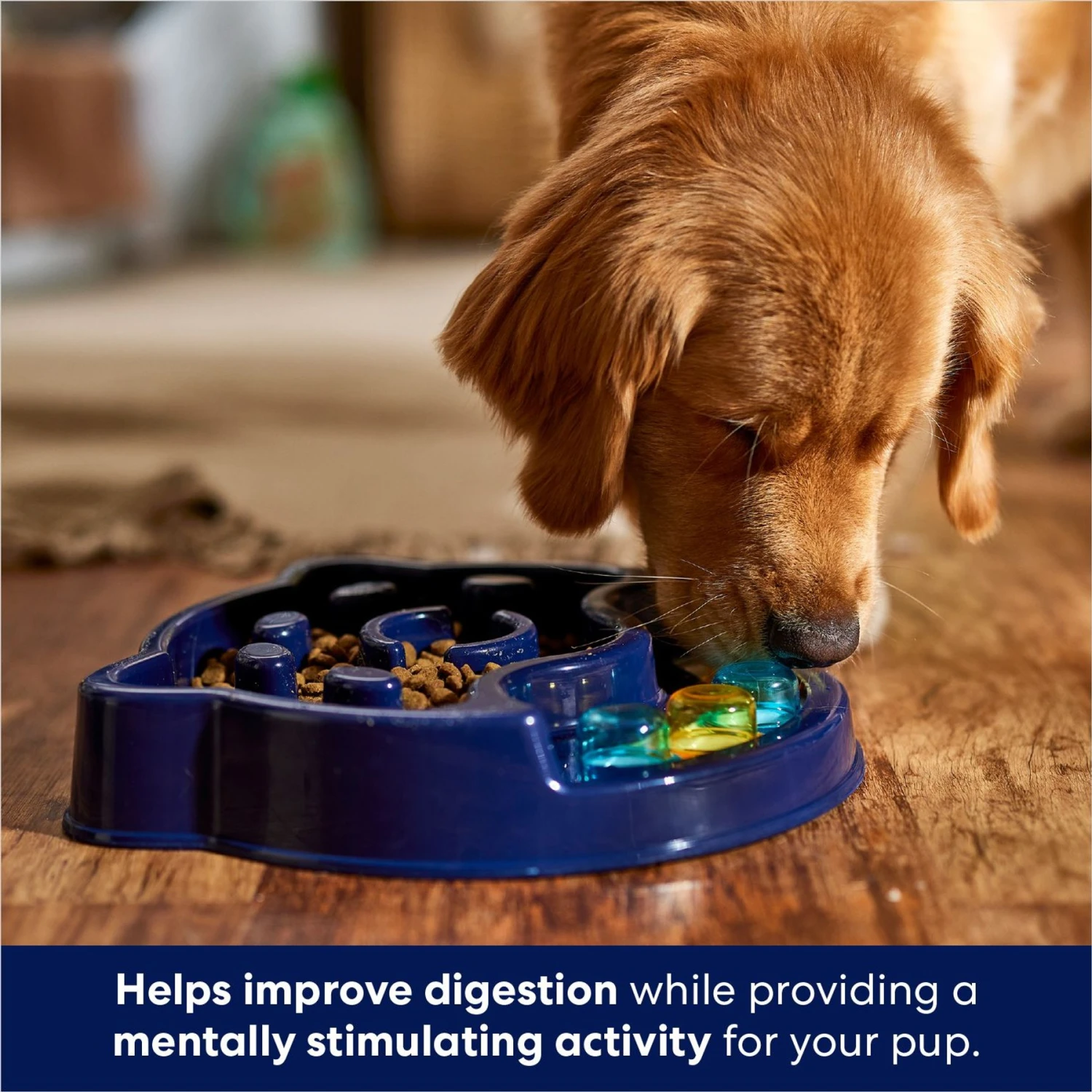 Frisco Interactive Dog Slow Feeder Bowl Frisco Interactive Dog Slow Feeder Bowl -Frisco Sales Store 761238 PT2. AC SS1800 V1696254583