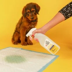 Skout's Honor Dog Pee Pad Refresher Spray, 28-oz Bottle & Frisco Washable Dog Potty Pads -Frisco Sales Store 772958 PT4. AC SS1800 V1676749044